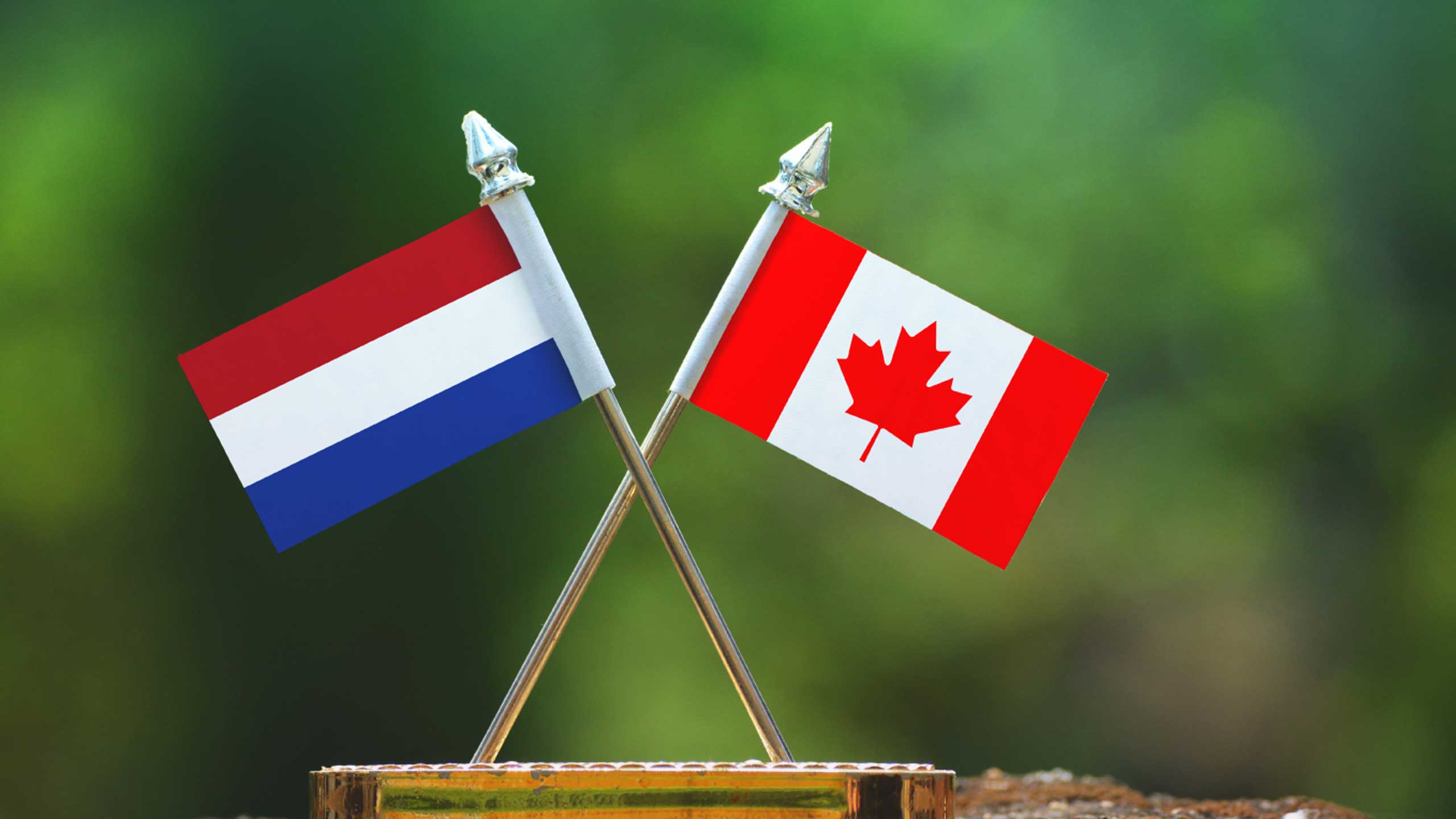 مهاجرت به هلند بهتر است یا کانادا؟