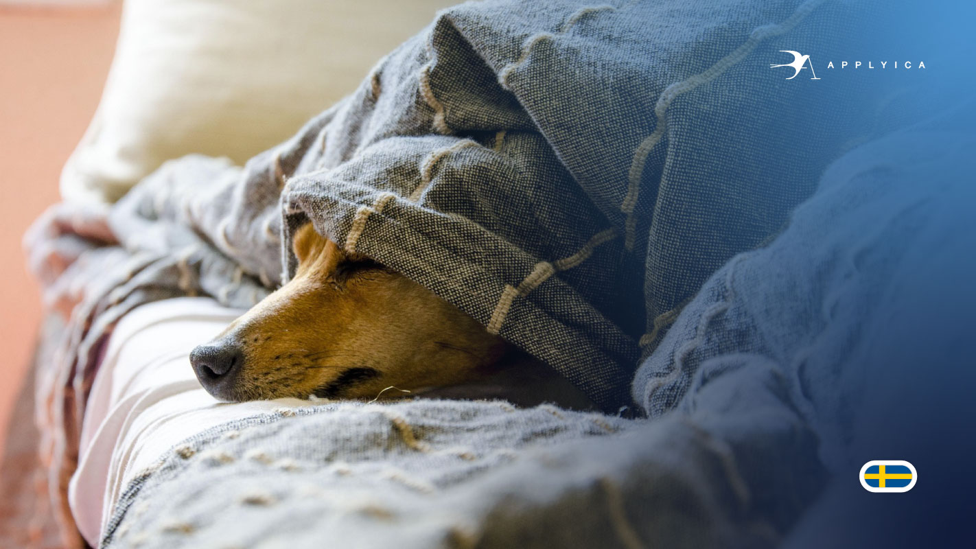 قابلیت ردیابی سلامت حیوانات خانگی – سوئد