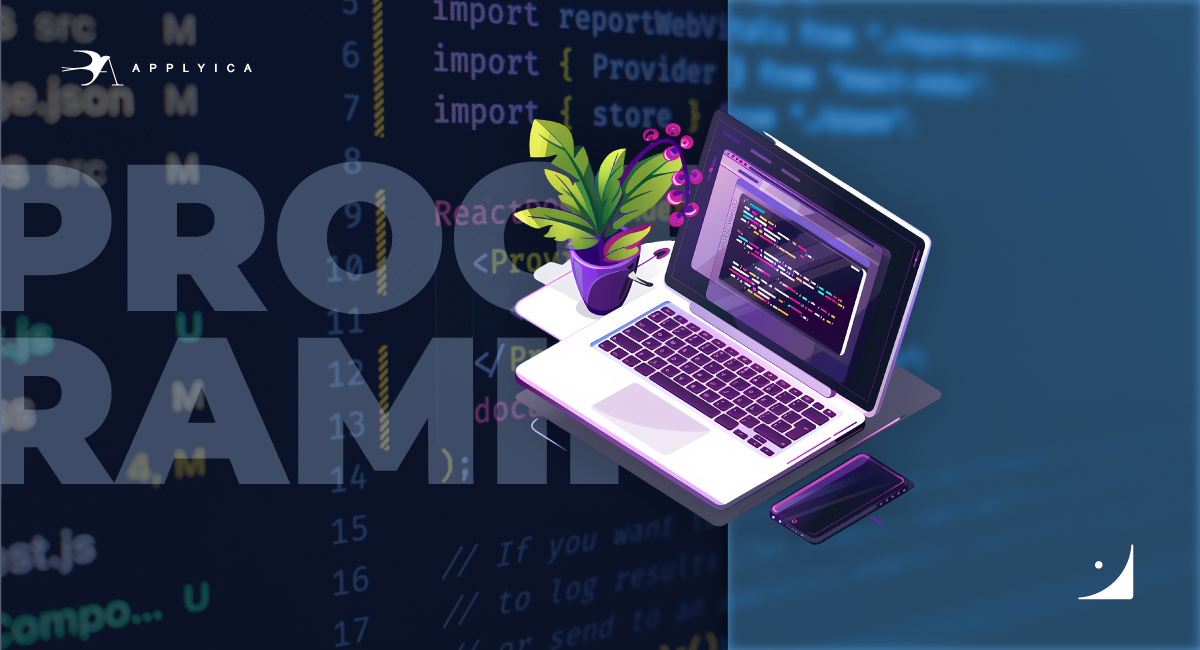 بهترین کشور برای مهاجرت برنامه نویس ها